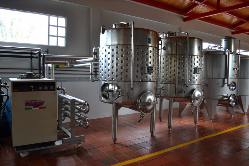 cave-ROQUEFORT LES PINS-min_wine_production_cantine_winery_drink_alcohol_vine_beverage-902036